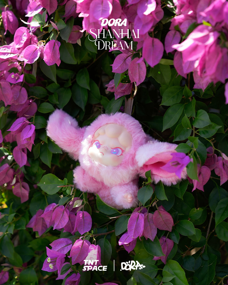 Dora Shanhai Dream Blind Box Series