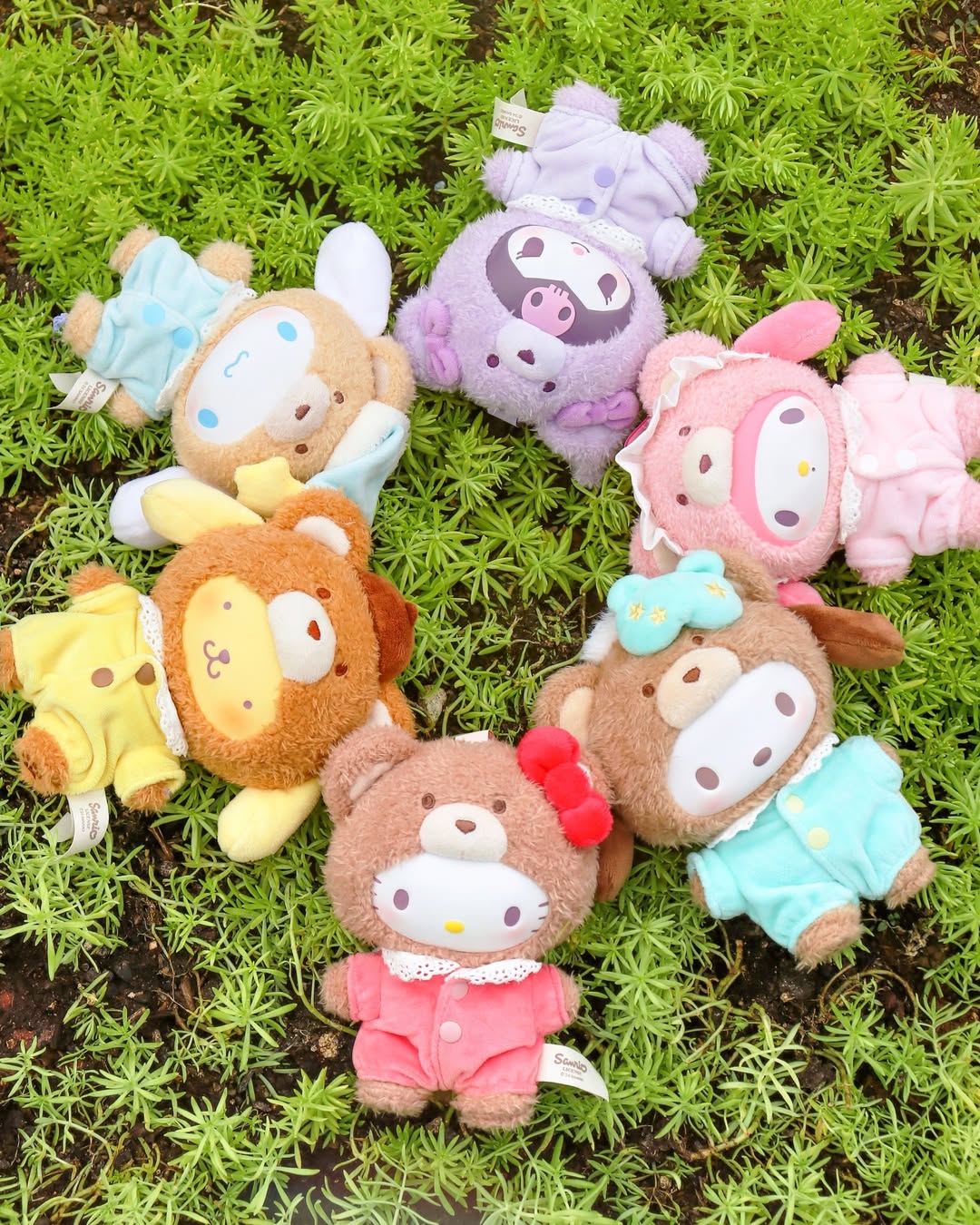 Sanrio Characters Latte Baby Plush Blind Box Series